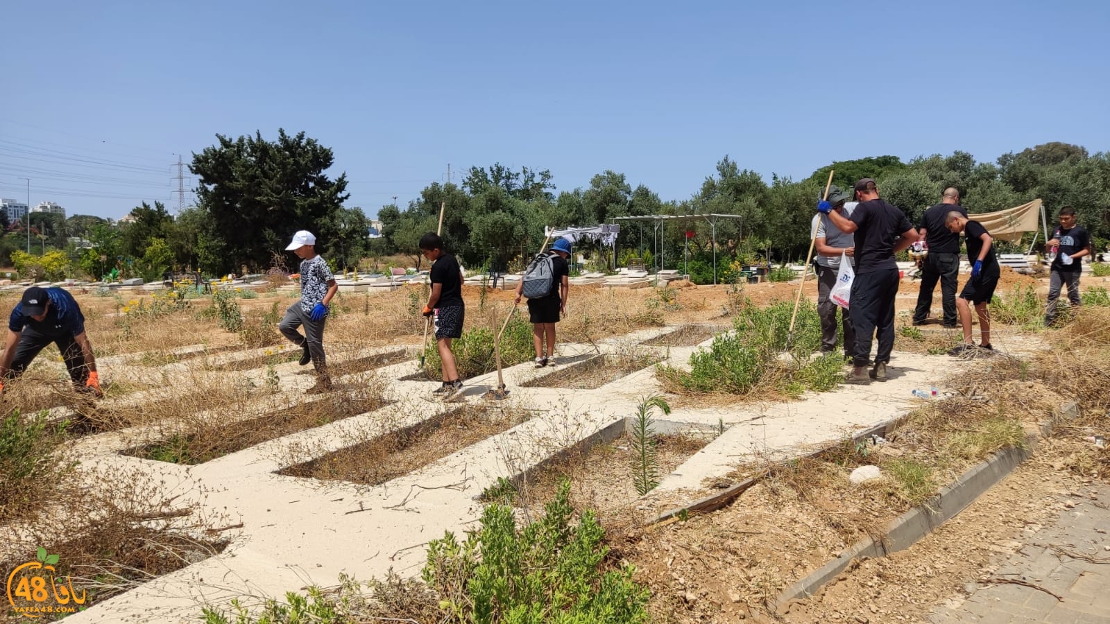 WhatsApp Image 2023-06-17 at 3.38.58 PM (4).jpeg